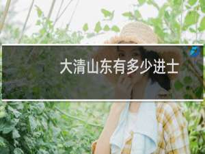 大清山东有多少进士