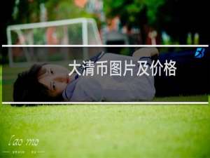 大清币图片及价格