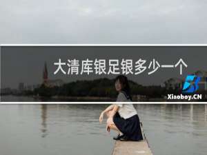大清库银足银多少一个