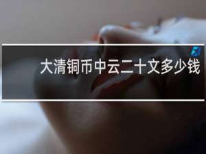 大清铜币中云二十文多少钱