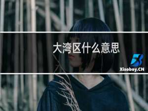 大湾区什么意思