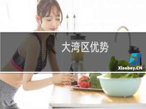 大湾区优势