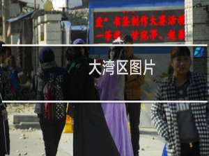 大湾区图片