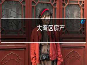 大湾区房产