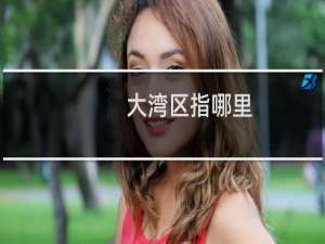 大湾区指哪里