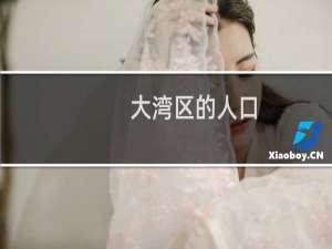 大湾区的人口