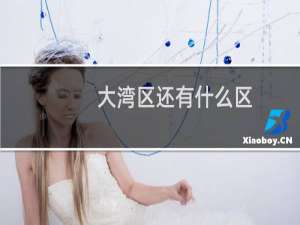 大湾区还有什么区