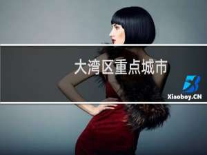 大湾区重点城市