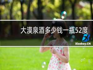 大漠泉酒多少钱一瓶52度