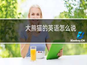 大熊猫的英语怎么说
