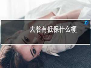 大爷有低保什么梗