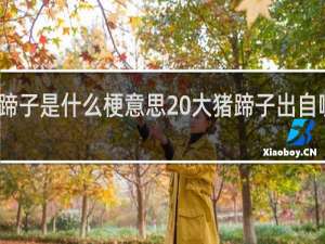 大猪蹄子是什么梗意思 大猪蹄子出自哪里什么梗
