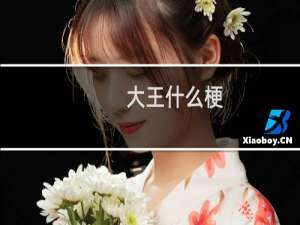 大王什么梗