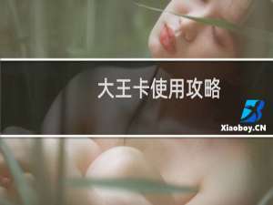 大王卡使用攻略