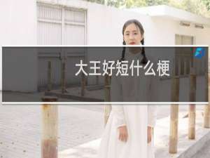 大王好短什么梗