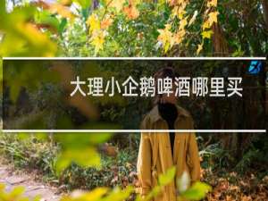 大理小企鹅啤酒哪里买