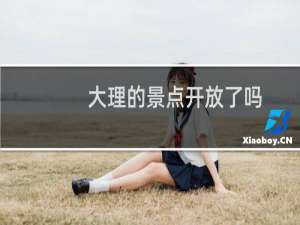 大理的景点开放了吗