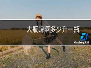 大瓶啤酒多少升一瓶