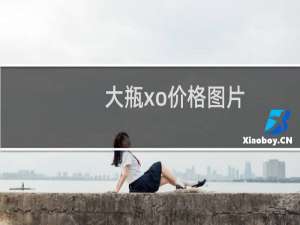 大瓶xo价格图片