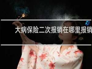 大病保险二次报销在哪里报销