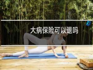 大病保险可以退吗