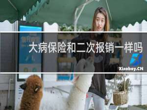 大病保险和二次报销一样吗