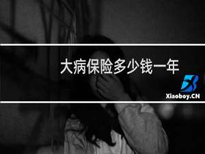 大病保险多少钱一年