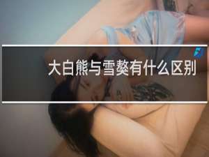 大白熊与雪獒有什么区别