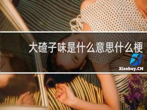 大碴子味是什么意思什么梗