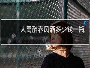大禹醉春风酒多少钱一瓶