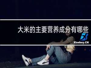 大米的主要营养成分有哪些