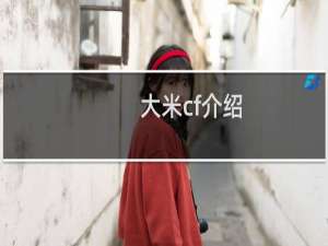 大米cf介绍