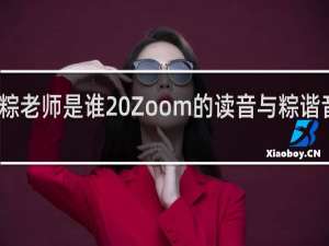 大粽老师是谁 Zoom的读音与粽谐音什么梗