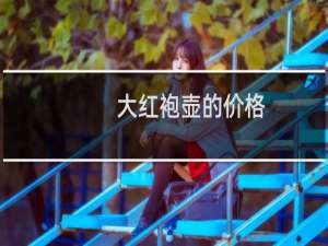 大红袍壶的价格