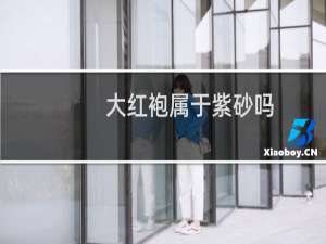 大红袍属于紫砂吗