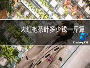 大红袍茶叶多少钱一斤算好的