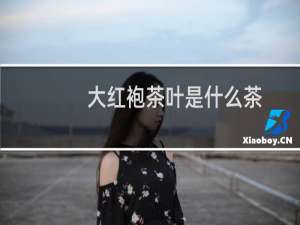 大红袍茶叶是什么茶