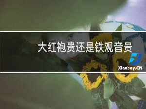 大红袍贵还是铁观音贵