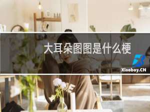 大耳朵图图是什么梗