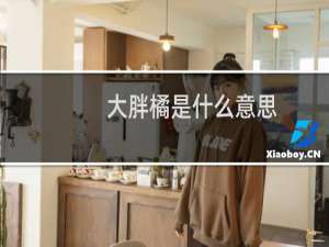 大胖橘是什么意思（甄嬛传胖橘是什么梗）什么梗