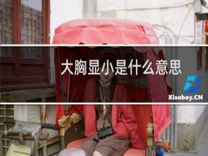 大胸显小是什么意思