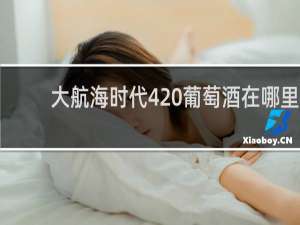 大航海时代4 葡萄酒在哪里