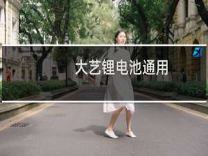 大艺锂电池通用