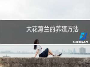 大花蕙兰的养殖方法