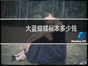 大蓝蝴蝶标本多少钱