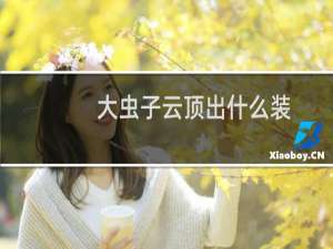 大虫子云顶出什么装
