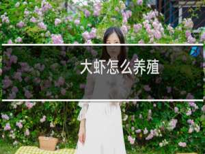 大虾怎么养殖
