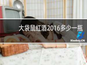 大袋鼠红酒2016多少一瓶