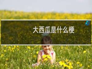 大西瓜是什么梗
