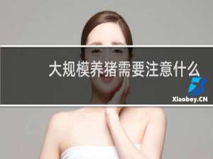 大规模养猪需要注意什么